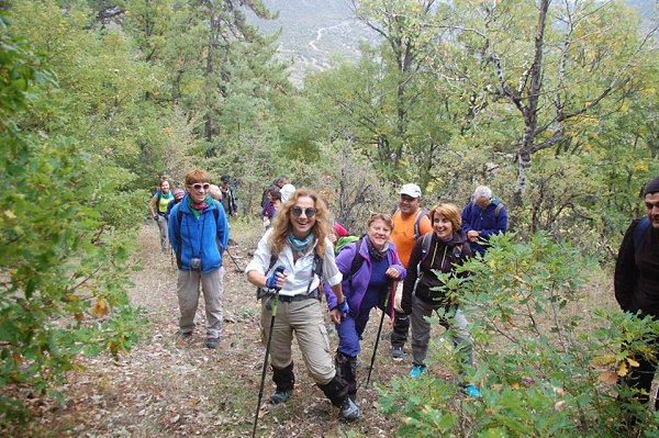 Pevril - 17 ������� 2017 � 09:18 - 9