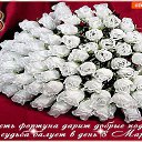 ���� Ludmila, ������, 68 ��� - ��������� 5 ��� 2017 � ������ ���� ����������