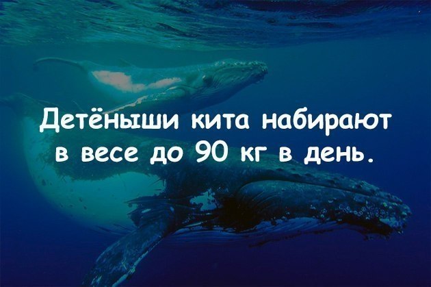   :    - 6  2017  17:50