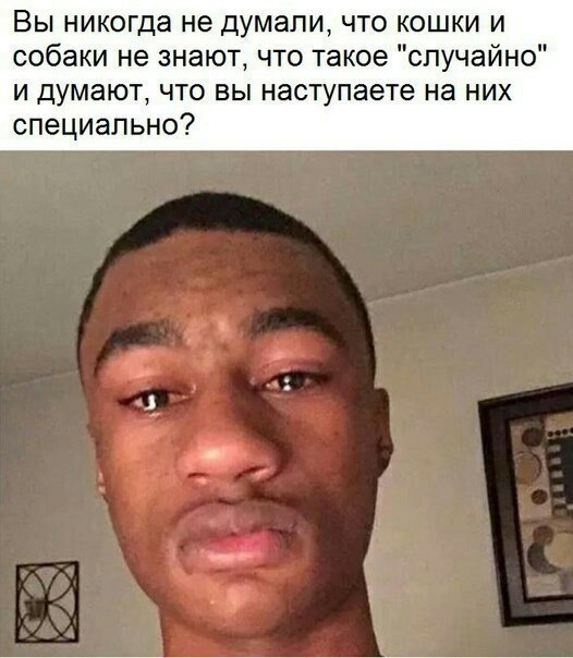  - 13  2017  20:29