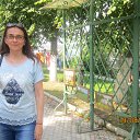 ���������� �. ����