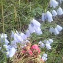 ���� �����, �������-���������, 63 ���� - ��������� 23 ���� 2017 � ������ ���� ����������