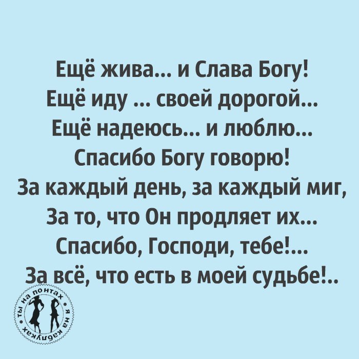   ,   .© - 17  2017  19:28