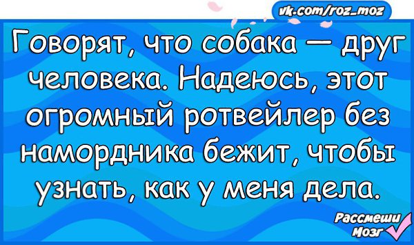  - 13  2017  05:07