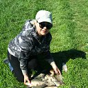 ���� ������, ������ - ��������� 28 ������ 2017 � ������ ���� ����������