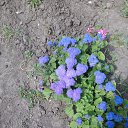 ���� ���, �������, 74 ���� - ��������� 23 ������� 2017 � ������ ���� ����������