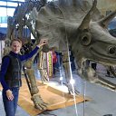 ���� �����, ����, 39 ��� - ��������� 7 ������ 2017 � ������ ������ ��������