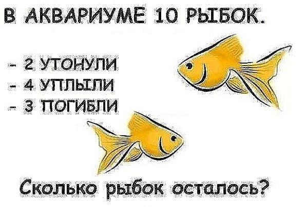  - 17  2017  12:11