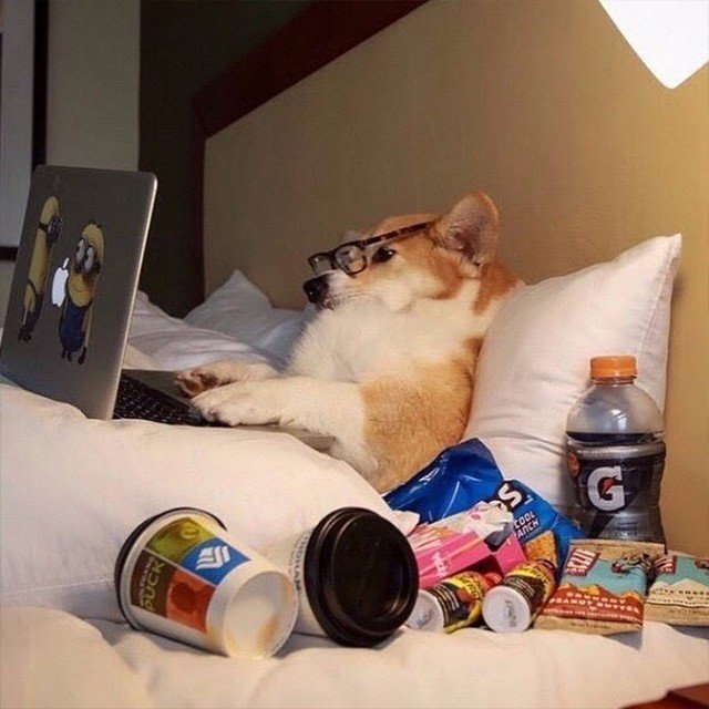 � ��� �� ��������� ��������? #����������@ican - 4