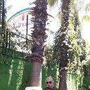 ���� �������, ��������� - ��������� 15 ������� 2017 � ������ ���� ����������