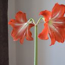 ���� �����, �����, 67 ��� - ��������� 13 ������� 2017 � ������ ���� ����������