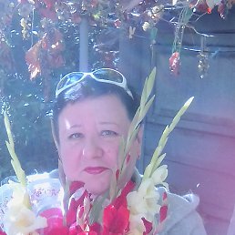 ���� ������ ����������, ��������, 58 ��� - ��������� 31 ������� 2017