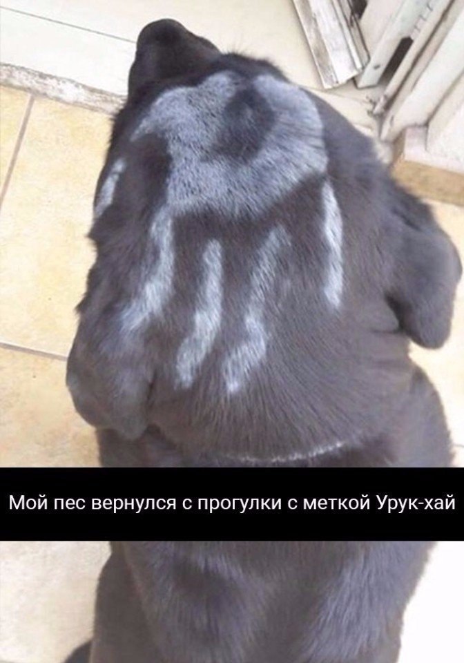   - 4