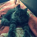 ��� �� ����� �����... �� ������� ���� ����������