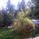 ����� - "�������" ���������� ������ �� ������� �2017�