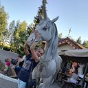 ���� �����, ����, 30 ��� - ��������� 17 ������� 2017 � ������ ���� ����������