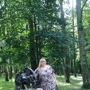  , , 41  -  5  2017   2017