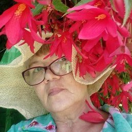 ������, ������������, 66 ���