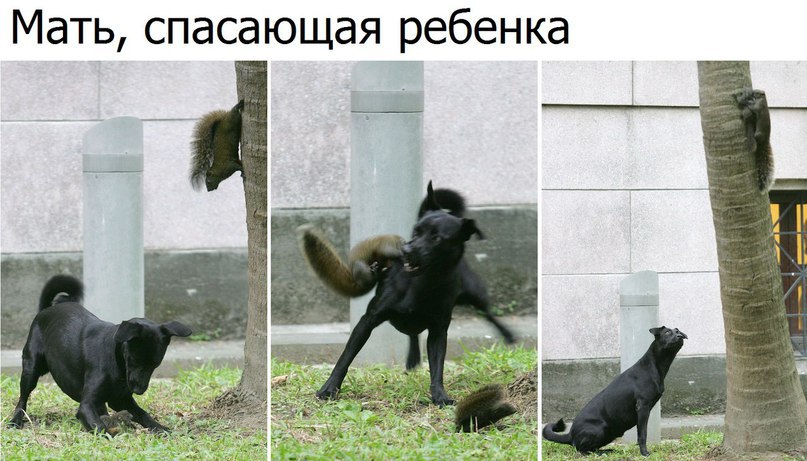 ���� - 9 ������ 2017 � 10:50