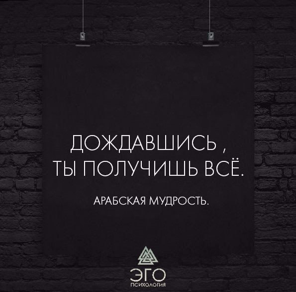  | ,  - 29  2017  05:03