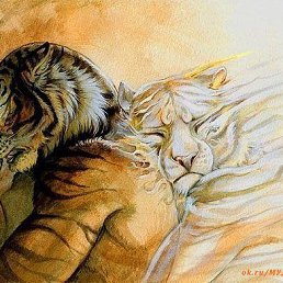 ���� ������, ����������, 37 ��� - ��������� 28 ���� 2017