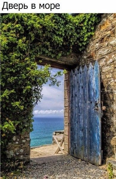 ...� ������ ����