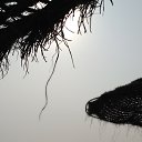 ���� �����, �����-��������� - ��������� 12 ������ 2017 � ������ ���� ����������