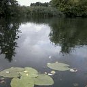 ���� ���������, ������, 55 ��� - ��������� 28 ���� 2017 � ������ ������ ��������