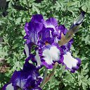 9.06.2017 �� ������� �� ��� - ��������!!!)))�