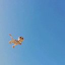 ���� Jon, ������, 35 ��� - ��������� 15 ������ 2017 � ������ ���� ����������