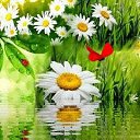 ���� �������, ���� - ��������� 27 ���� 2017 � ������ ��������