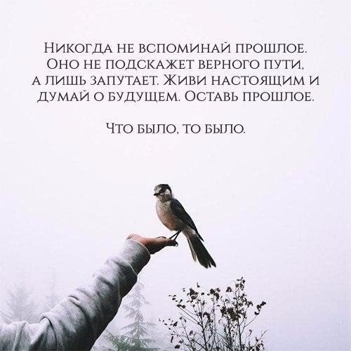 ��������� - 13 ������� 2017 � 19:14