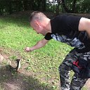 ���� ���������, ����, 46 ��� - ��������� 10 ���� 2017 � ������ ���� ����������