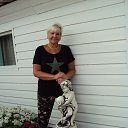 ���� �������, ������������, 67 ��� - ��������� 16 ������� 2017 � ������ ���� ����������