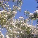 ���� ���������, ���� - ��������� 2 �������� 2017 � ������ �������� � ������������ � ����� ����