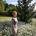 ���� �����, ����������, 59 ��� - ��������� 3 ���� 2017 � ������ ���� ����������