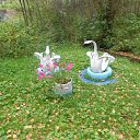 ���� Fedor., ������-���, 56 ��� - ��������� 21 �������� 2017 � ������ ������ ��������