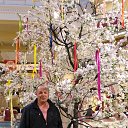 ���� �������, ������-��-����, 51 ��� - ��������� 7 ���� 2017 � ������ ���� ����������