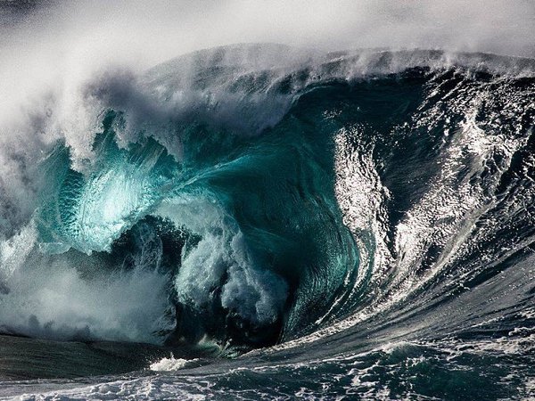 К морю. К морю. Мне нужно к морю. К морю. В море – вода. Вода приручает. Неспешно, мудро приручает. ...