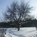       Untitled Album