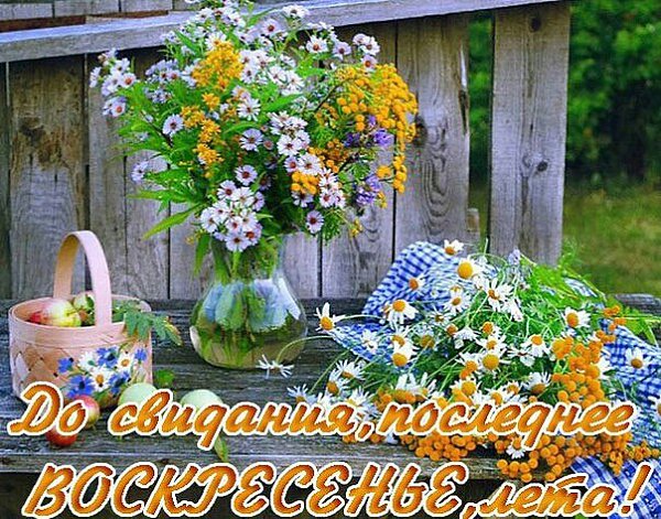 Кончается август. Уходит пьянящее лето. И шлейфом душистым взмахнет и тоску наметёт… И хочется всем ...