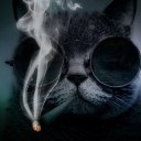 ���� ������, �������, 40 ��� - ��������� 7 ������� 2017 � ������ ���� ����������