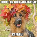 ���� ������, ������������ - ��������� 31 ���� 2017 � ������ ��������