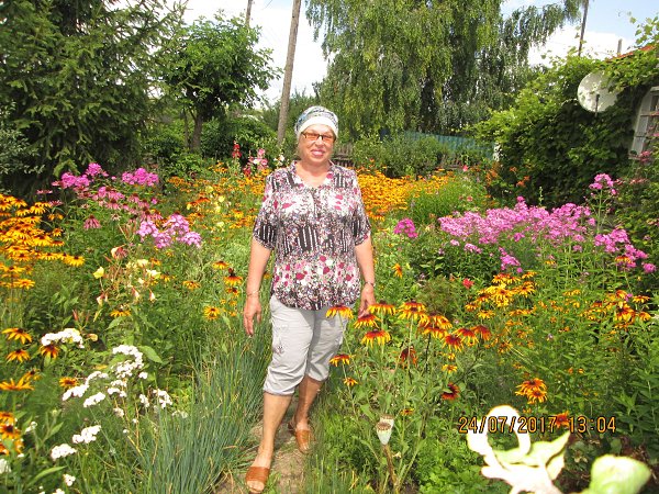  ***** - 25  2017  19:40