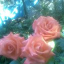 ���� �����, ������, 47 ��� - ��������� 19 �������� 2017 � ������ ���� ����������