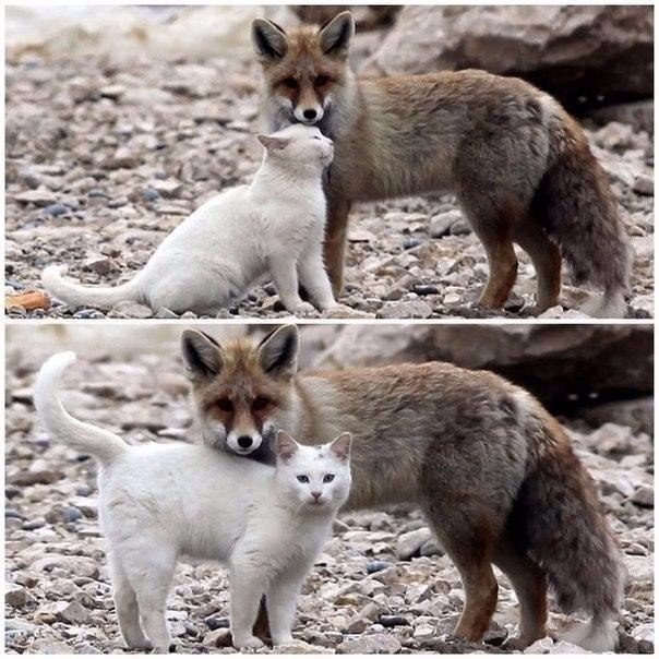 ������������ ������� ������ - 9