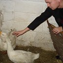 ���� ������, ������, 52 ���� - ��������� 23 ������ 2017 � ������ ���� ����������