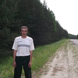 ����, ������������, 43 ����