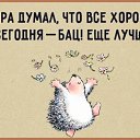 ���� ������, ���������, 66 ��� - ��������� 10 ������ 2017 � ������ ������ ��������