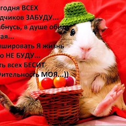 ���� �����, ��������� - ��������� 14 ���� 2017